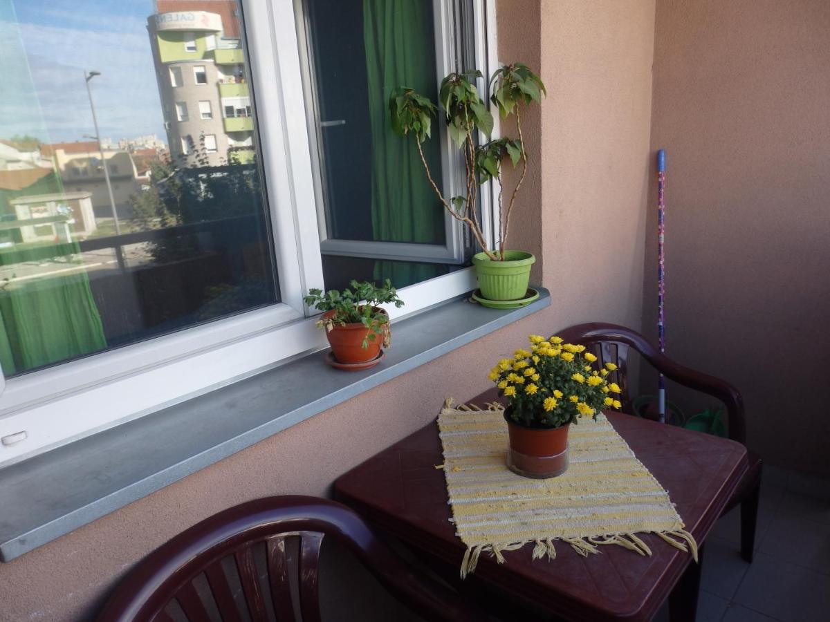 Apartment Erika 2 Novi Sad Bagian luar foto