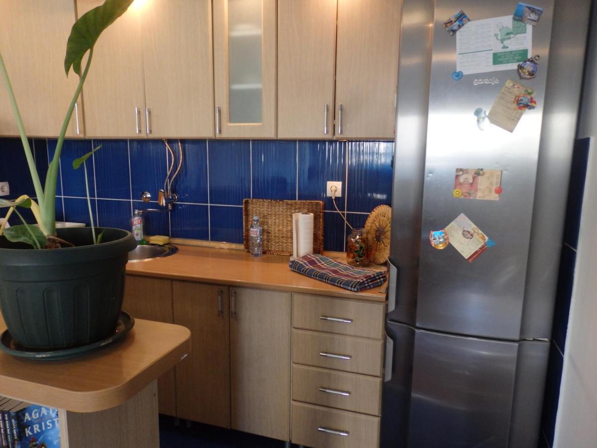 Apartment Erika 2 Novi Sad Bagian luar foto