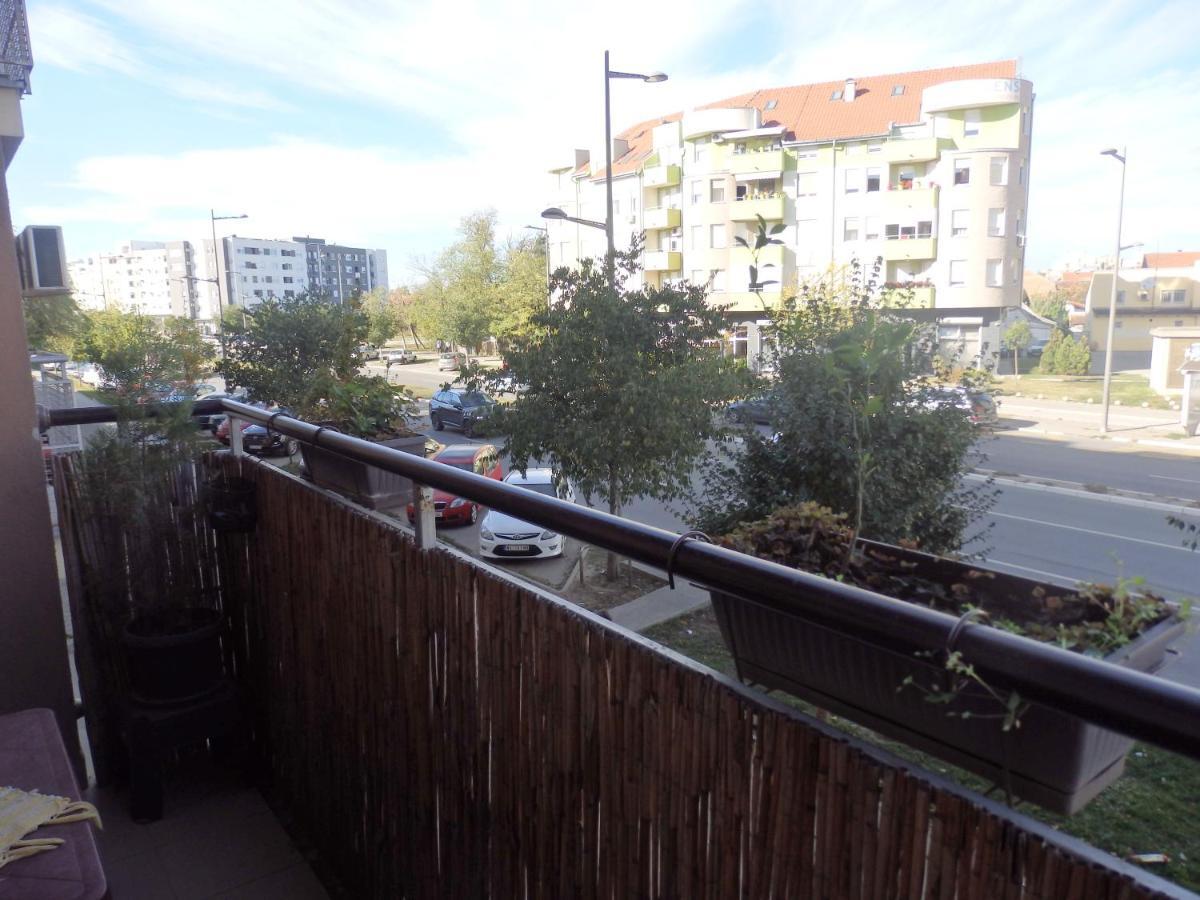Apartment Erika 2 Novi Sad Bagian luar foto