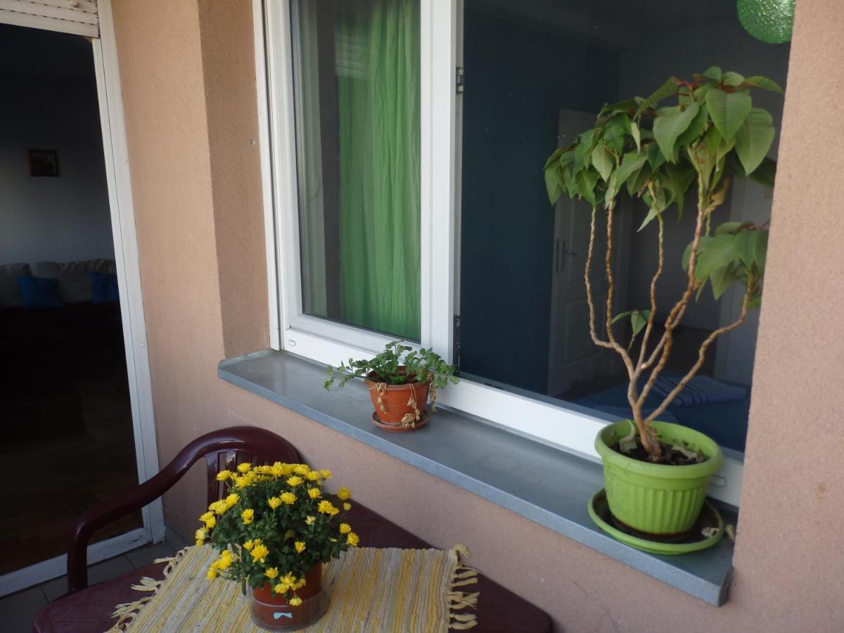 Apartment Erika 2 Novi Sad Bagian luar foto