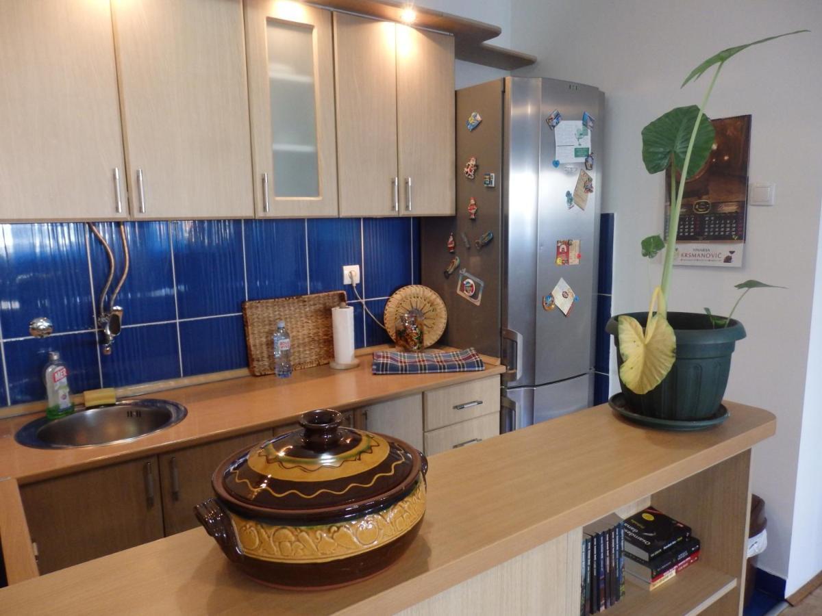 Apartment Erika 2 Novi Sad Bagian luar foto