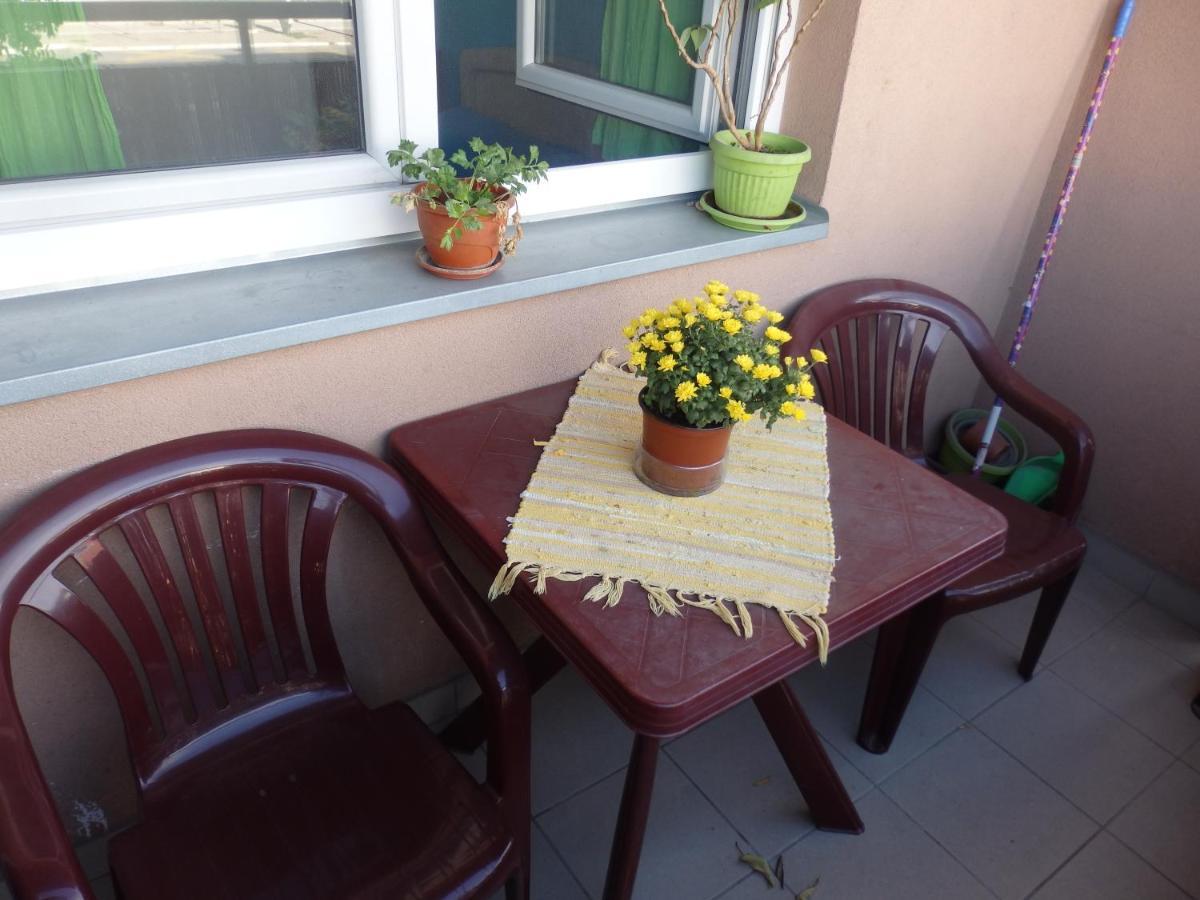 Apartment Erika 2 Novi Sad Bagian luar foto