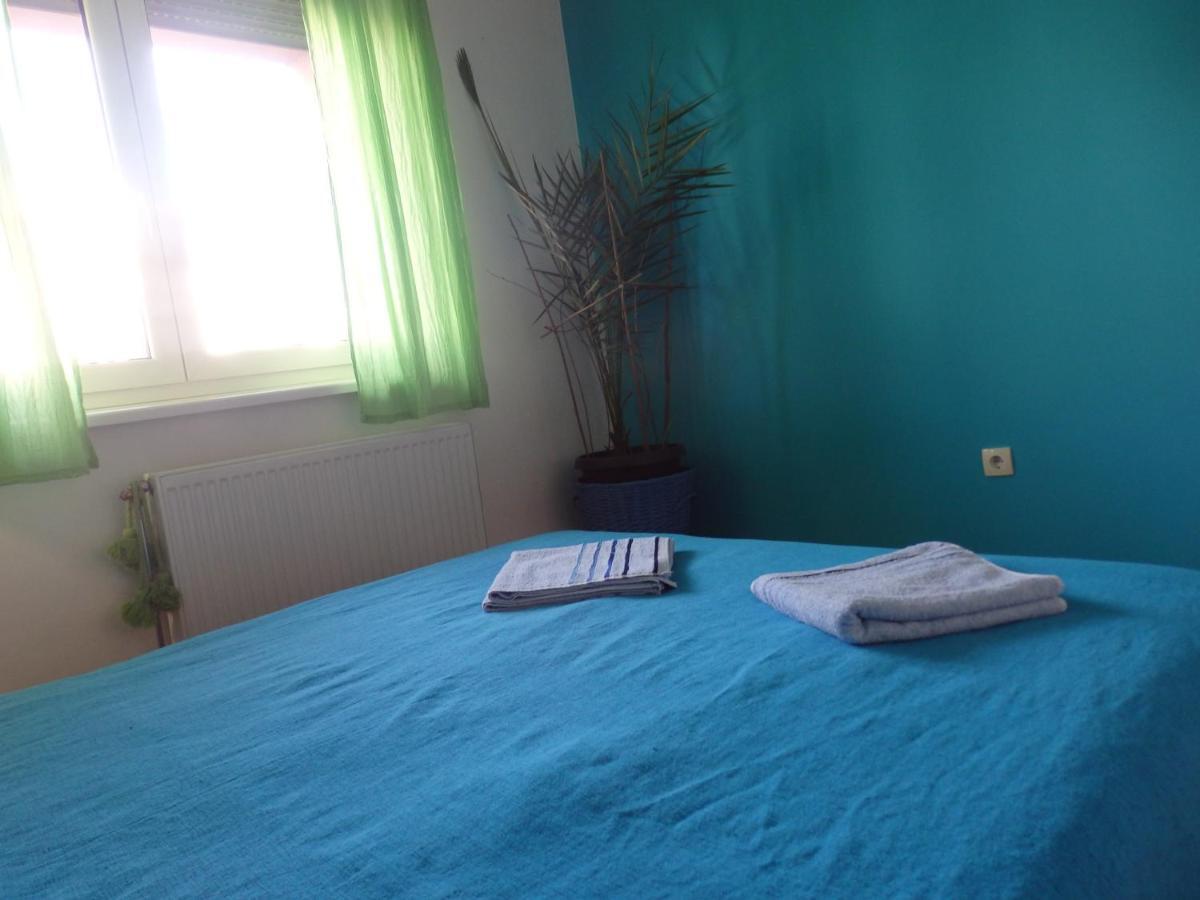 Apartment Erika 2 Novi Sad Bagian luar foto
