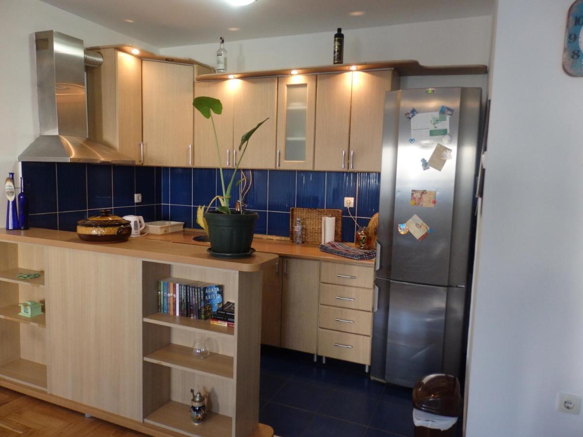 Apartment Erika 2 Novi Sad Bagian luar foto