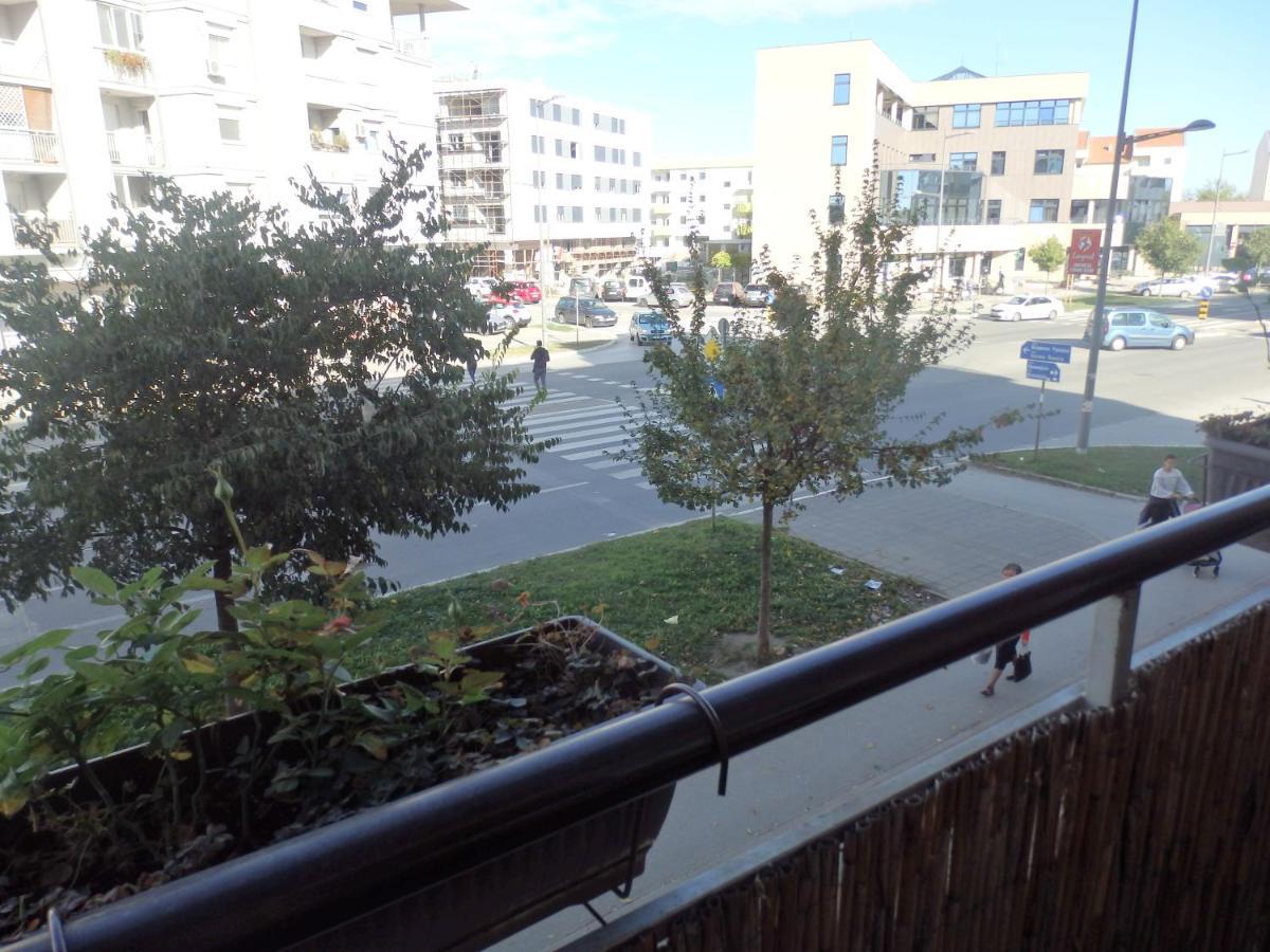 Apartment Erika 2 Novi Sad Bagian luar foto