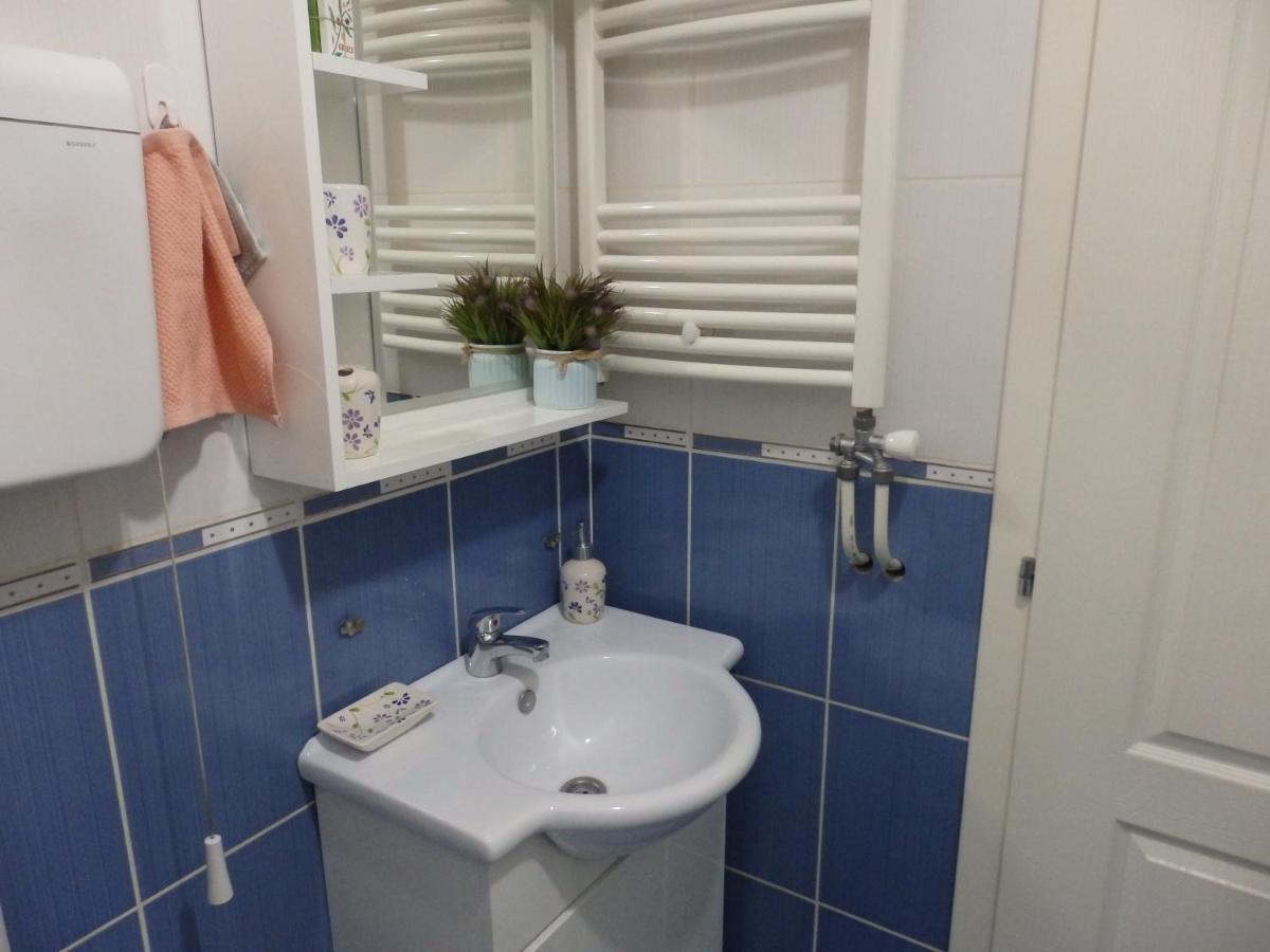 Apartment Erika 2 Novi Sad Bagian luar foto